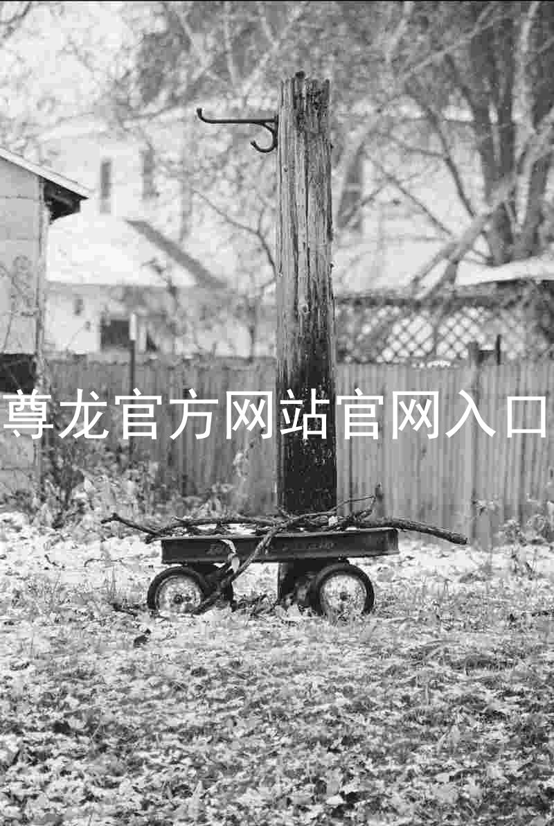 尊龙官方网站官网入口