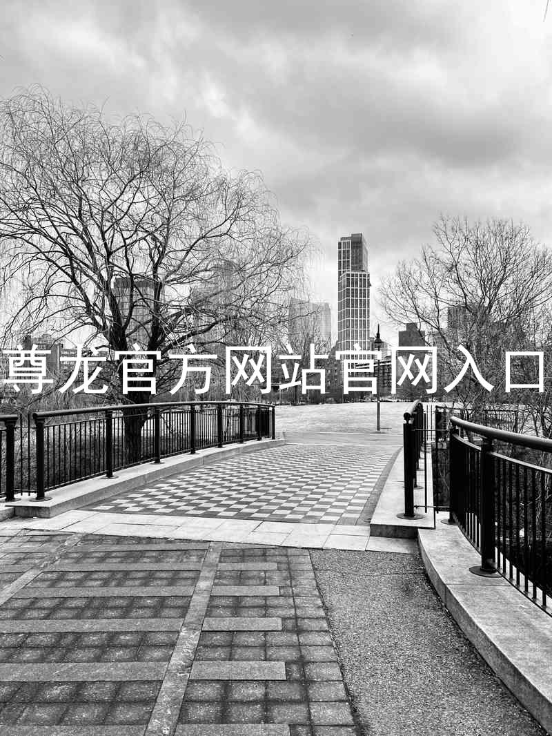 尊龙官方网站官网入口