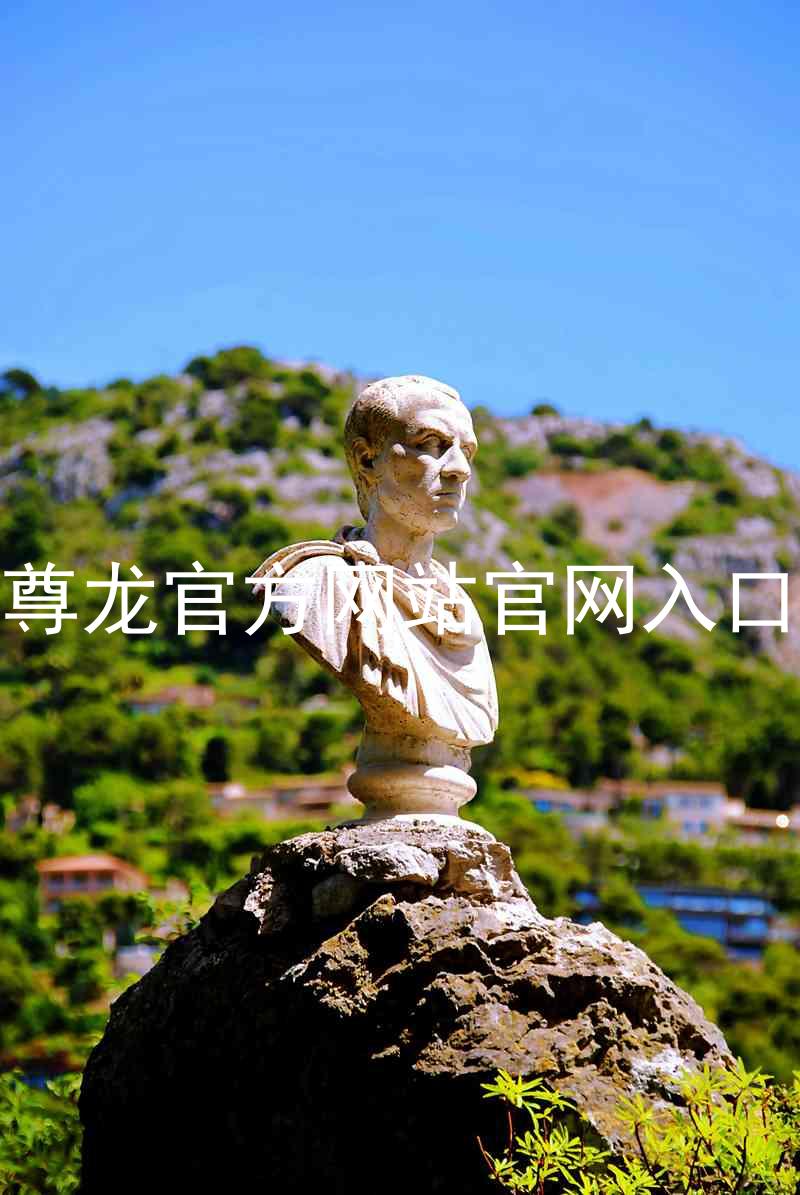 尊龙官方网站官网入口