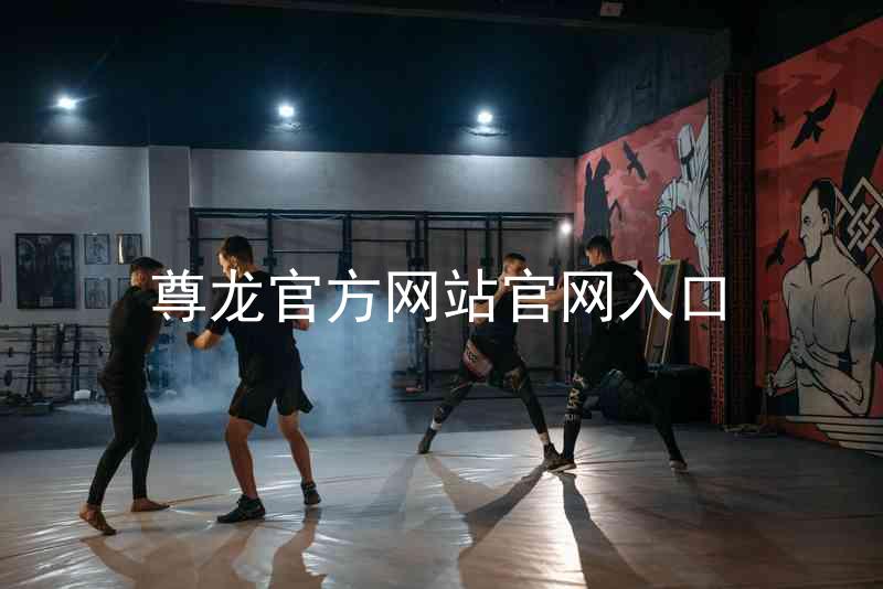 尊龙官方网站官网入口